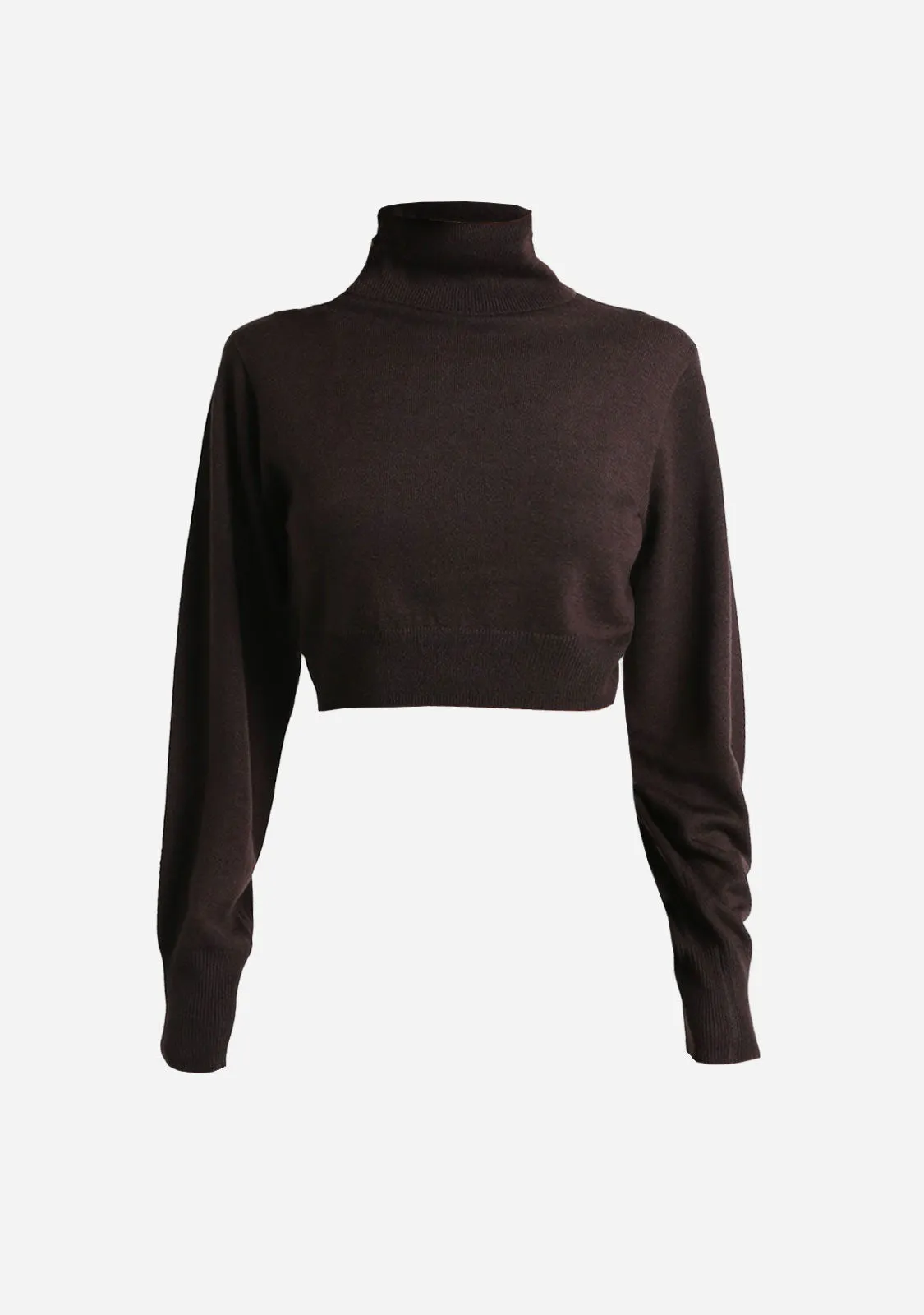 Cropped Turtleneck Sweater