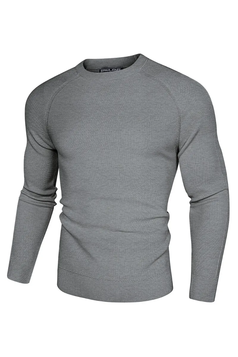 Men Cellular Textured Sweater Long Raglan Sleeve Crew Neck Kitted Tops